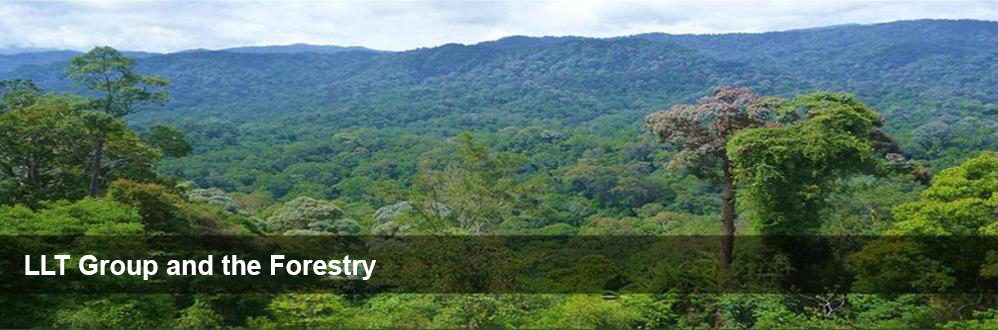 Forestry